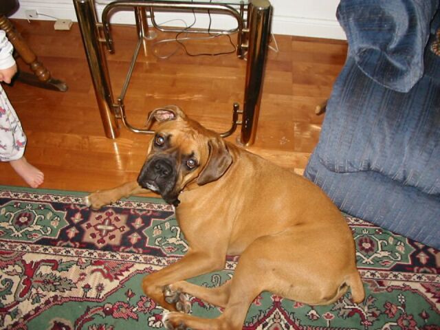 Current Picture of Oscar