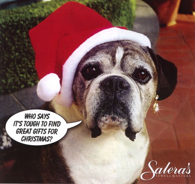 cute advert for a jewellers