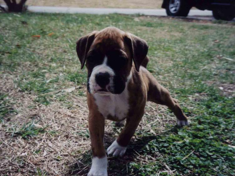 Cute at 7 weeks