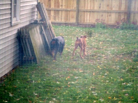 Cute Butts!