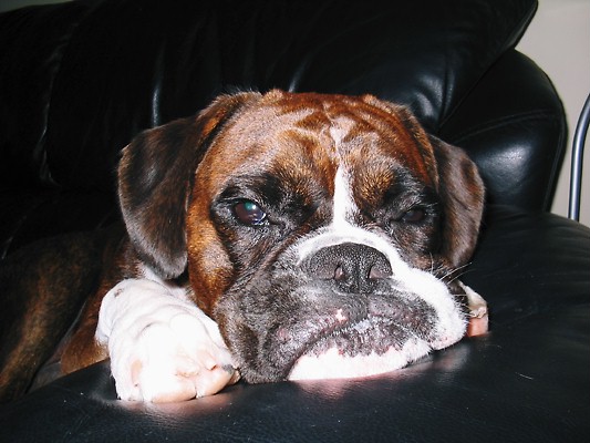 Cute Ellie..