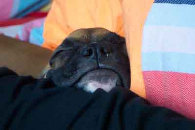 cute face