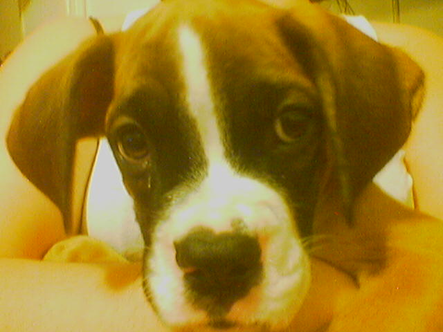 cute face