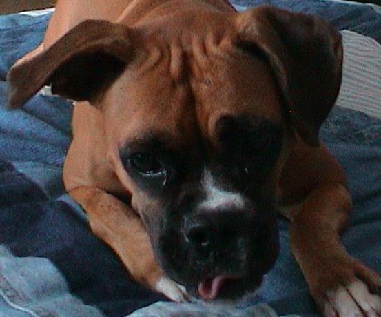 Cute little face