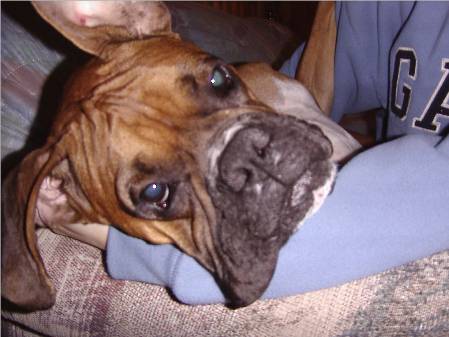 cute? who me?