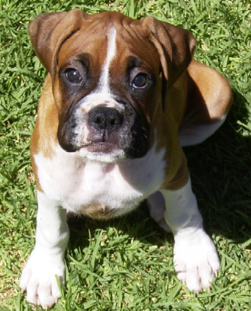 cute_baby_jed