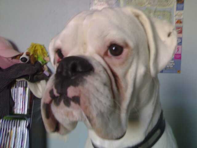 Cutey!
