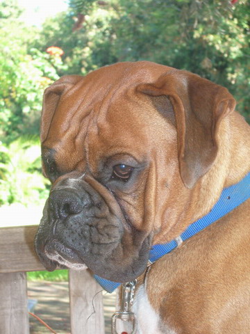 Cutie pie Cassius