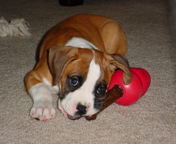Cutie pie