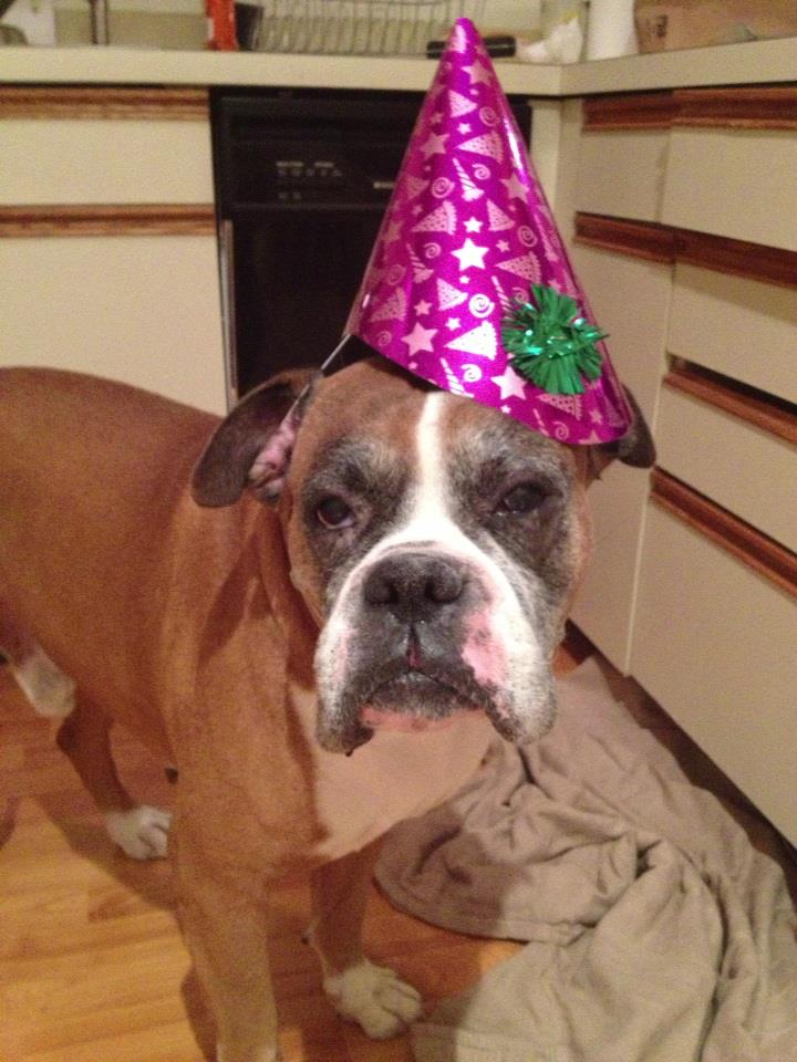 Cybe has his birthday today! He is 9!