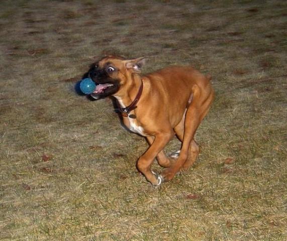 CyrusBall
