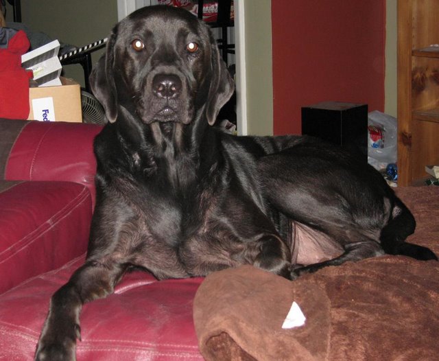 D-Ohgie Posing for the camera