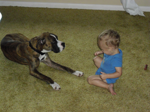 d_and_aiden_boxerworld