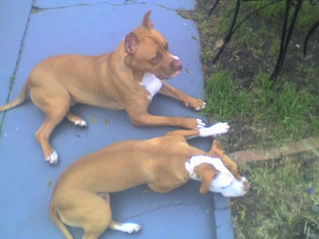 Da_pits_04-24-06_