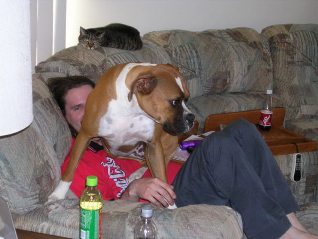 Dad LIKES it when I sit in his lap