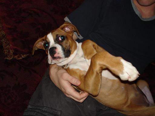 Dad likes to hold me like a baby, but I think he's crazy!