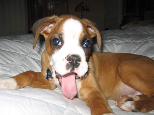 Dad, your boring me.