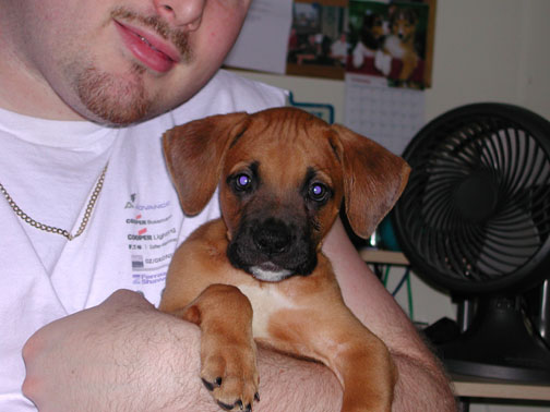 Dad & Zeus