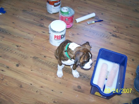 Daddies_helper