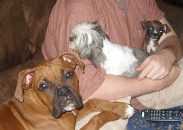 Daddy and his babies