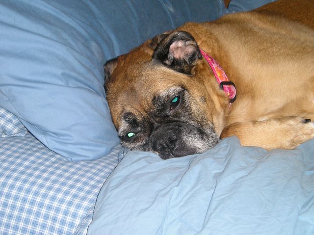 Daddy i'm tired leave me alone