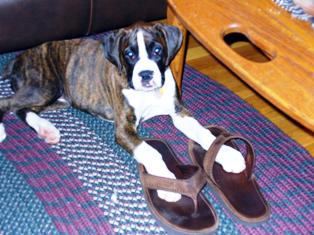 Daddy_s_shoes_