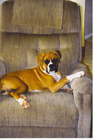 Daddy's chair
