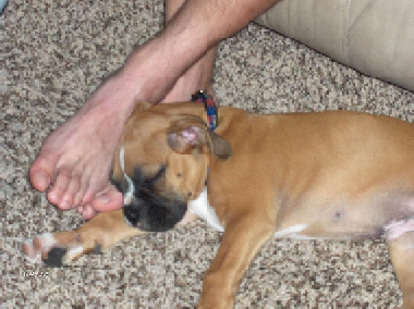 daddy's feet are so comfy!