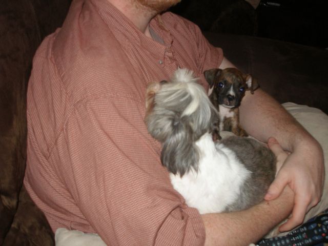 Daddy's Girls