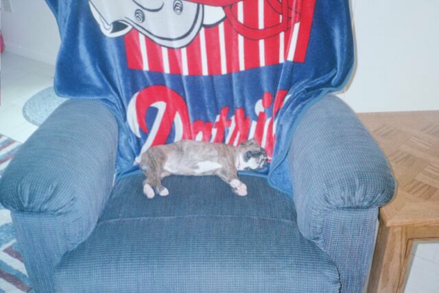 Daddy's lost his chair!