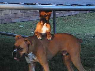 DaeZee loves her brother!