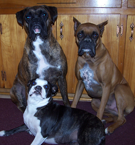 dah fur kids getting older
