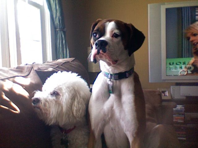 Daisy and Fritz