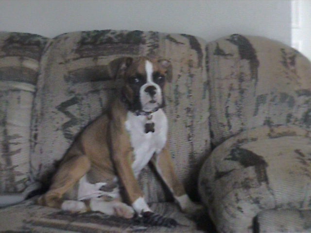 daisy mae