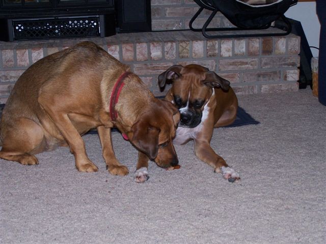 Daisy & P.K.