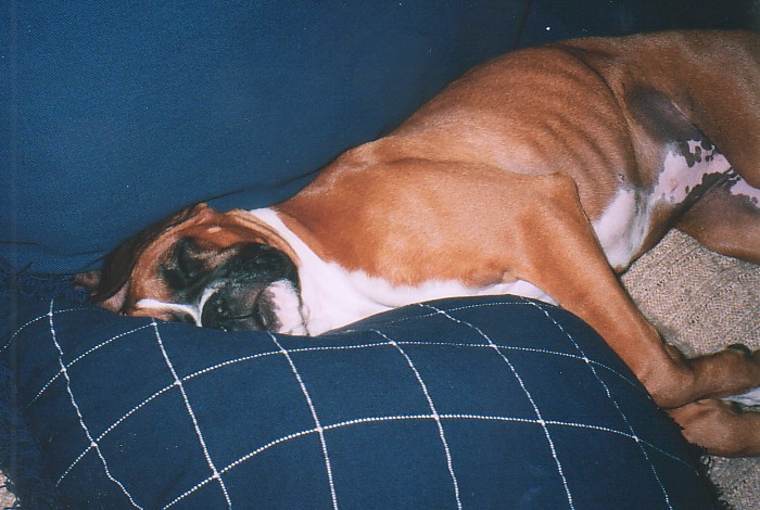 Daisy Wiped Out!
