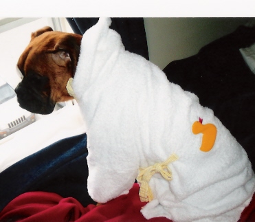 Daisy