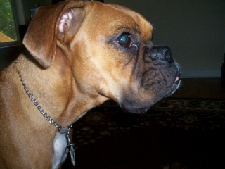 Daisy's Profile