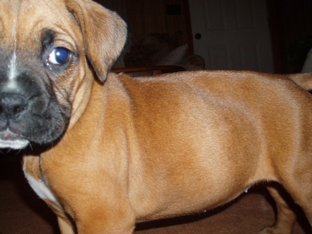 Daisy's ready for her close up!