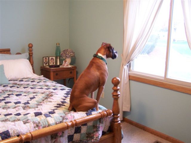 Daisy's Spot