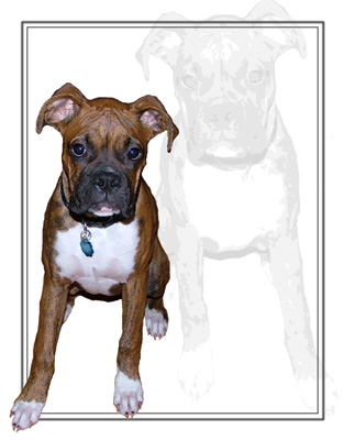 Dakota a part of my Photoshop experiments again