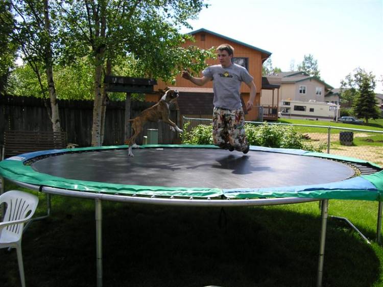 Dakota loved the trampoline. RIP Dakota