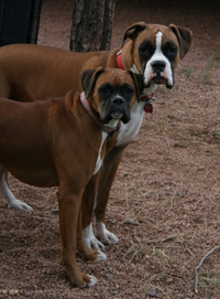 Dakota & Ranger