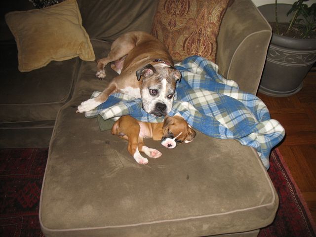Dakota's First Day