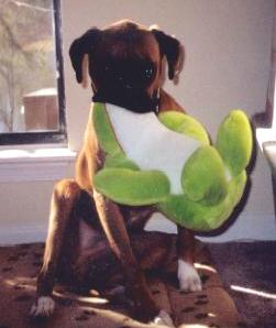 Dallas & His Frog