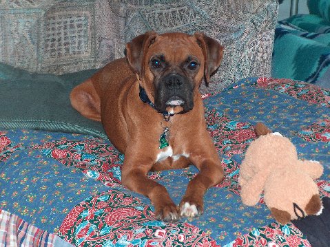 Dallas in "his spot"