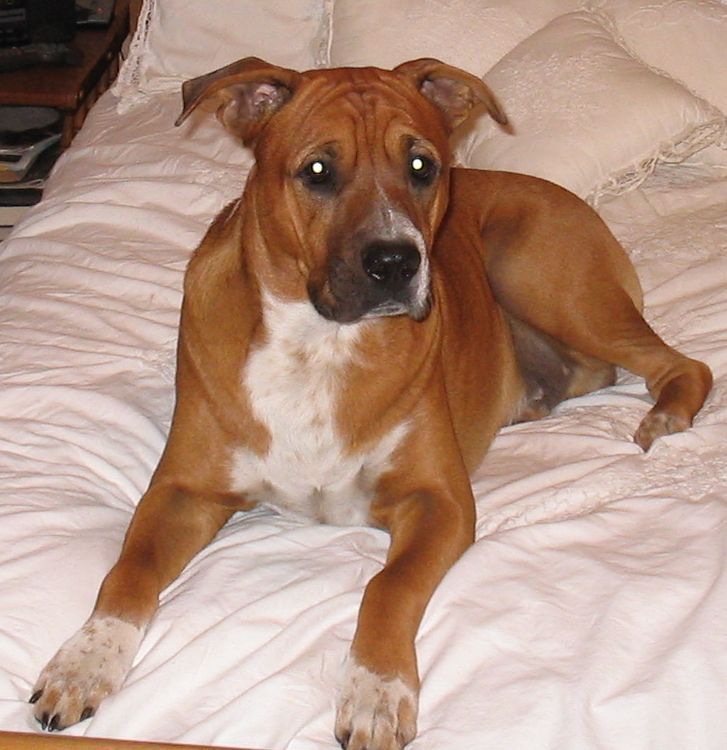 Dallas relaxing
