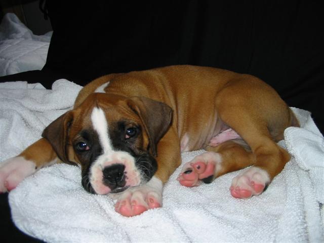 Damon at 7 weeks