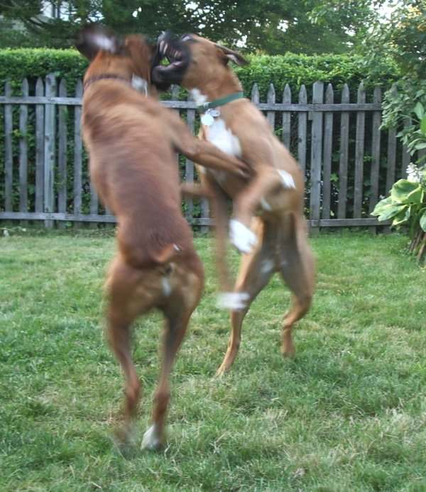 Dancing....