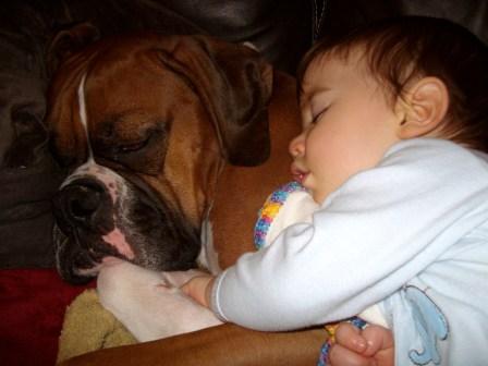 Daniel and Chandler Boxer